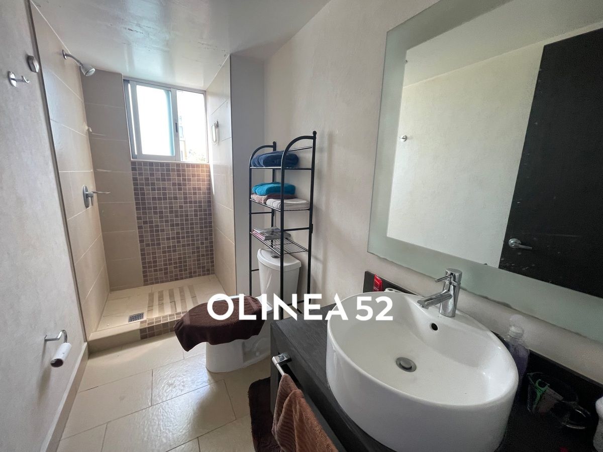 CDMX Coyoacan, 3 Habitaciones Habitaciones, ,3 BathroomsBathrooms,Departamento,En Venta,8,1483