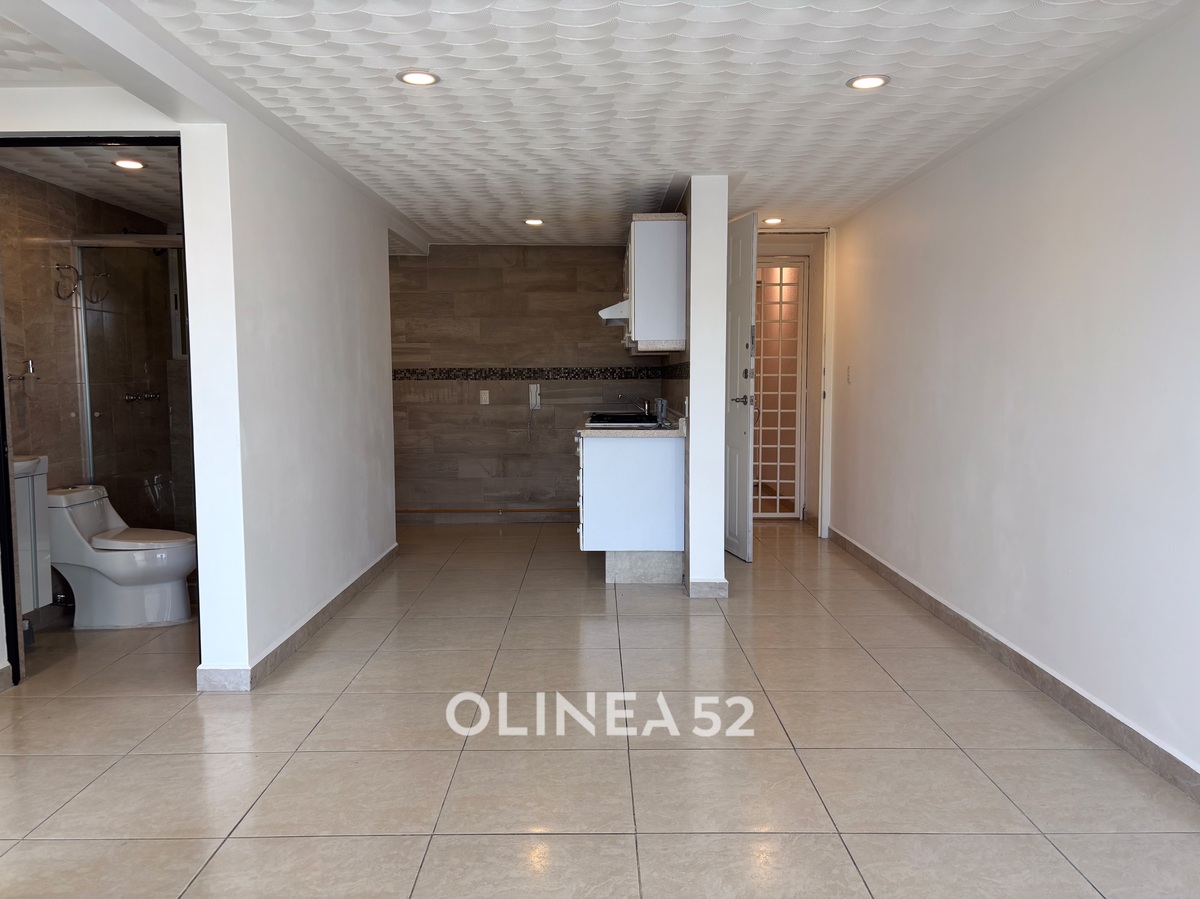 CDMX Coyoacan, 2 Habitaciones Habitaciones, ,2 BathroomsBathrooms,Departamento,VENTA,2,1563