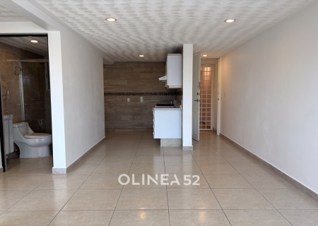 CDMX Coyoacan, 2 Habitaciones Habitaciones, ,2 BathroomsBathrooms,Departamento,VENTA,2,1563