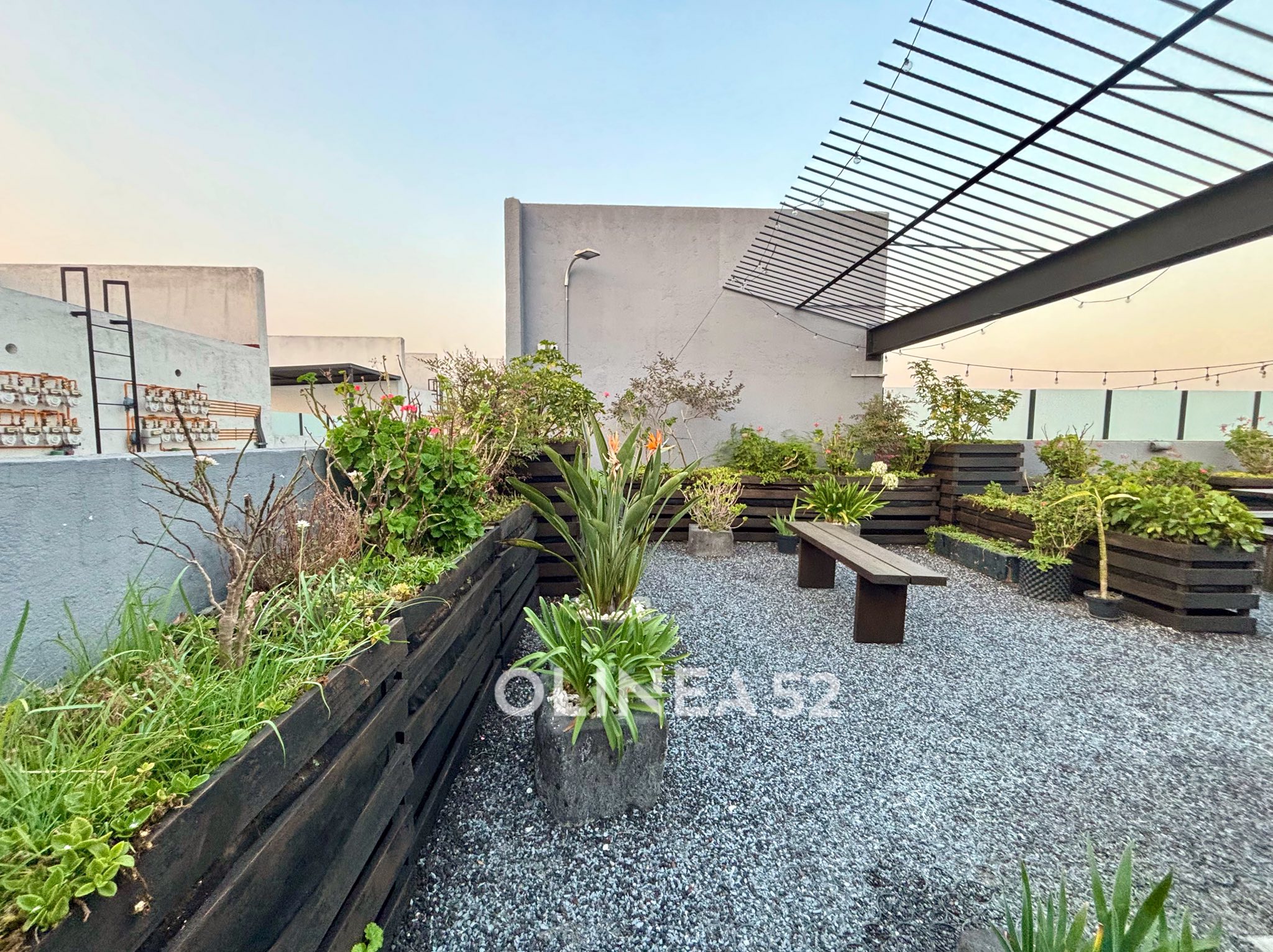 CDMX Benito Juarez, 2 Habitaciones Habitaciones, ,2 BathroomsBathrooms,Departamento,VENTA,5,1600